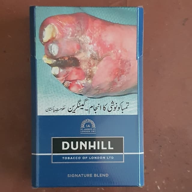 Dunhill Cigarettes 20 Cigarettes