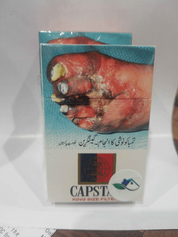 Capstan King Size Filter